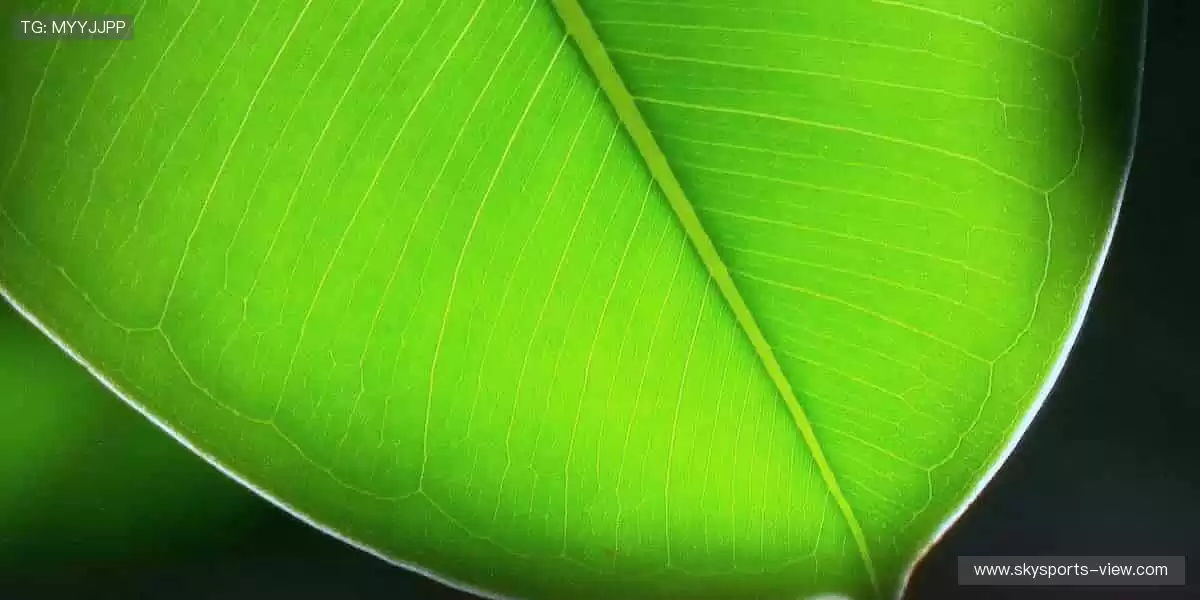 潮流周边，释放运动态度！🎽